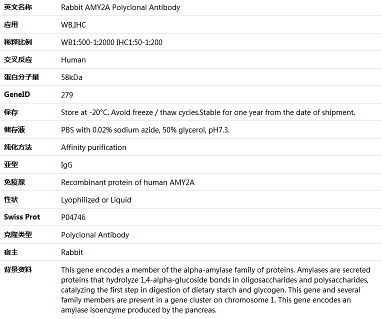 AMY2A Antibody,索莱宝,K005632P-100ul