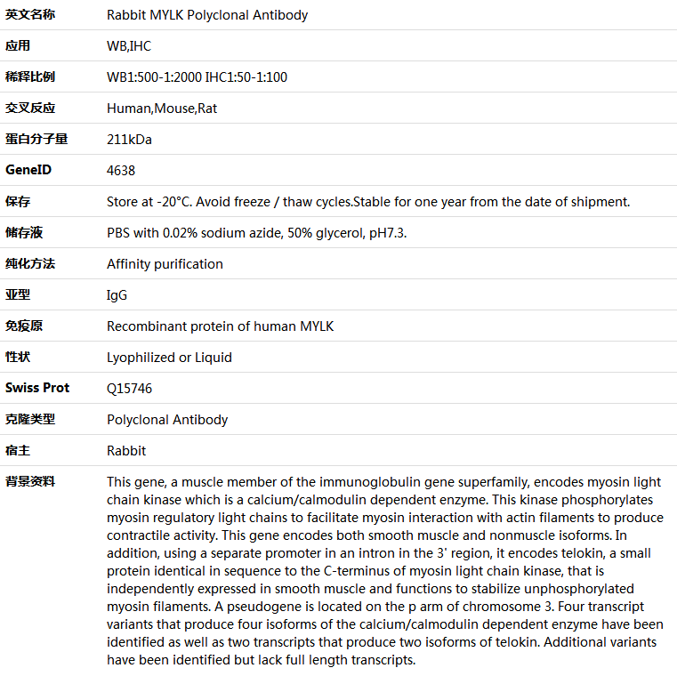 MYLK Antibody,索莱宝,K005630P-100ul