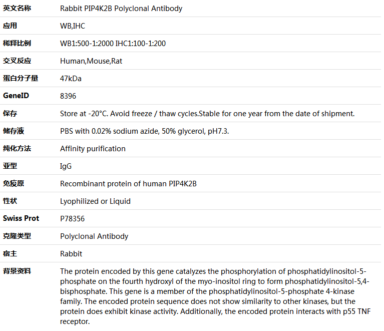 PIP4K2B Antibody,索莱宝,K005623P-50ul