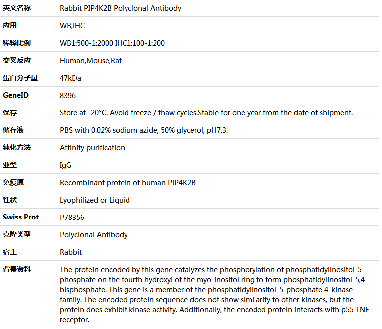 PIP4K2B Antibody,索莱宝,K005623P-100ul