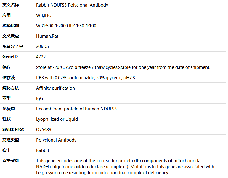 NDUFS3 Antibody,索莱宝,K005621P-50ul