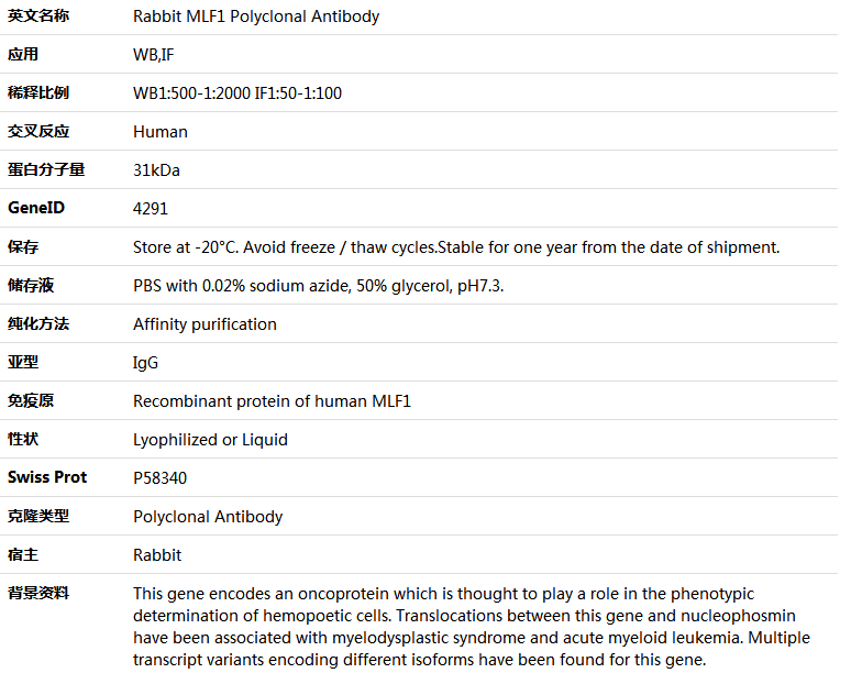 MLF1 Antibody,索莱宝,K005620P-100ul