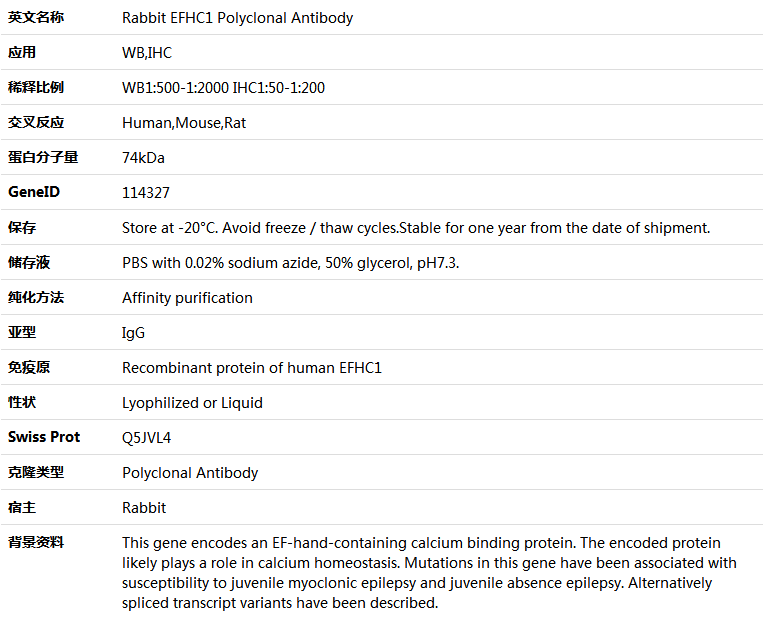 EFHC1 Antibody,索莱宝,K005614P-100ul