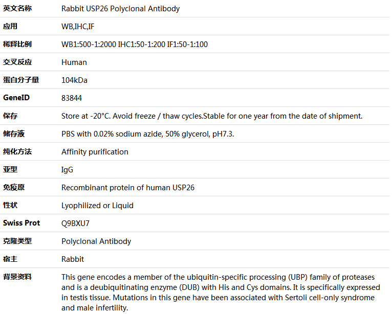 USP26 Antibody,索莱宝,K005612P-50ul