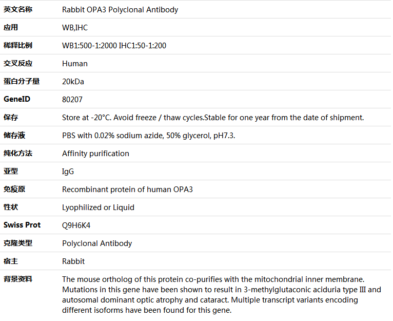 OPA3 Antibody,索莱宝,K005611P-50ul