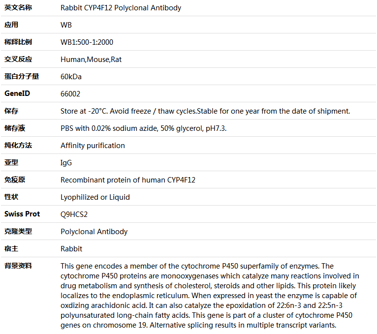 CYP4F12 Antibody,索莱宝,K005609P-100ul