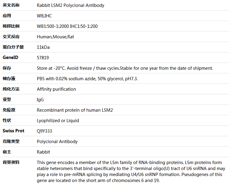 LSM2 Antibody,索莱宝,K005606P-100ul