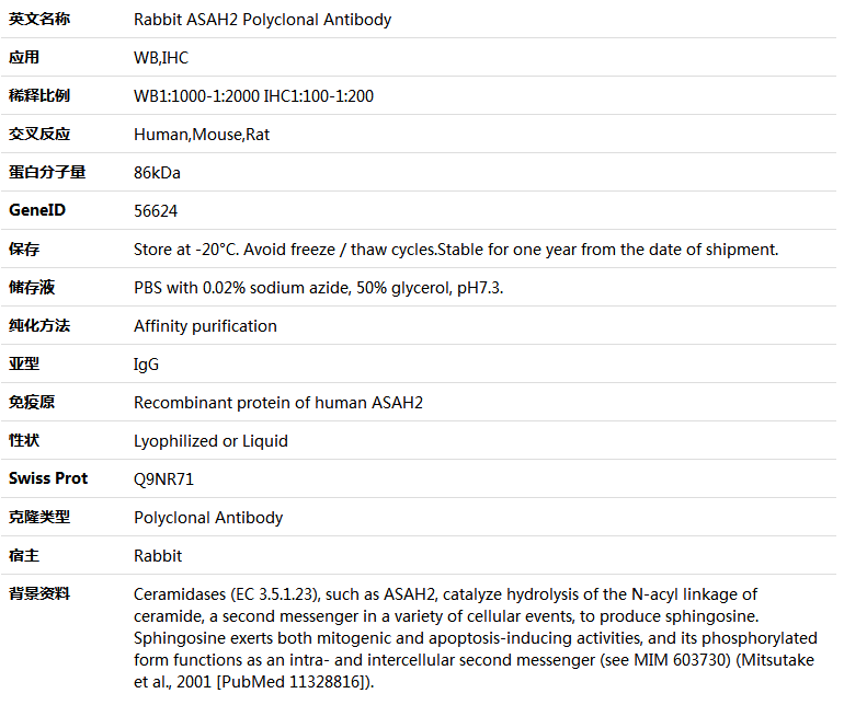 ASAH2 Antibody,索莱宝,K005604P-50ul