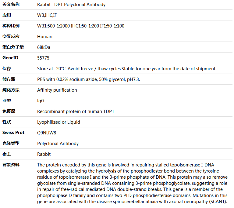 TDP1 Antibody,索莱宝,K005603P-100ul