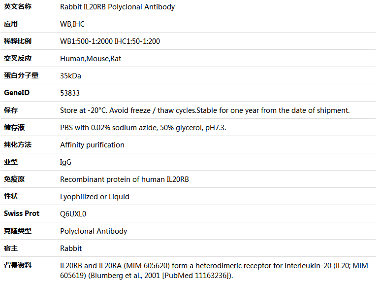 IL20RB Antibody,索莱宝,K005599P-50ul