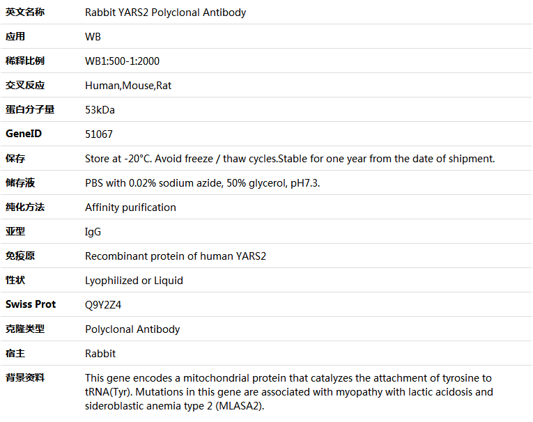 YARS2 Antibody,索莱宝,K005596P-50ul