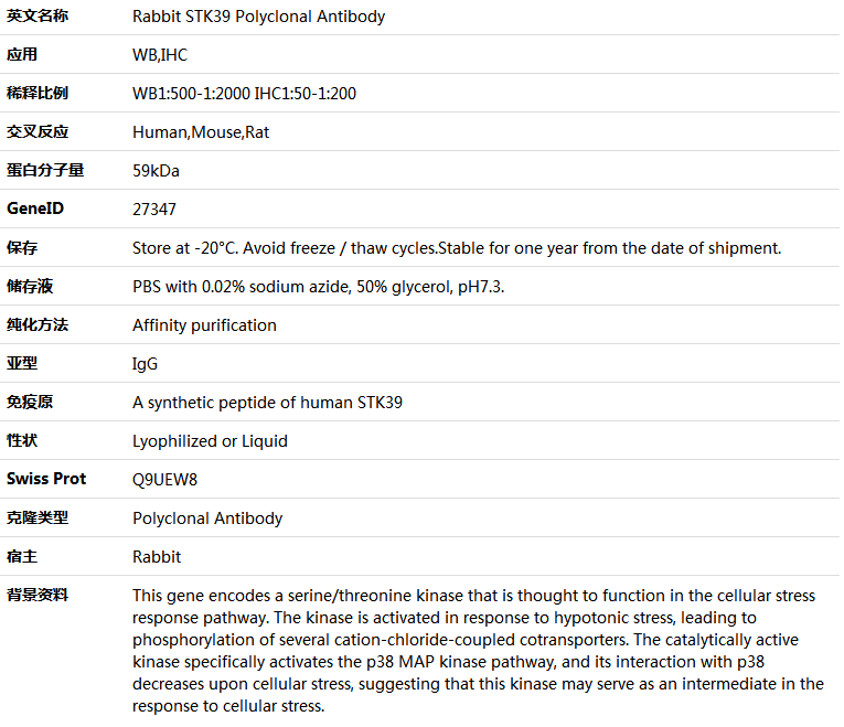 STK39 Antibody,索莱宝,K005594P-100ul