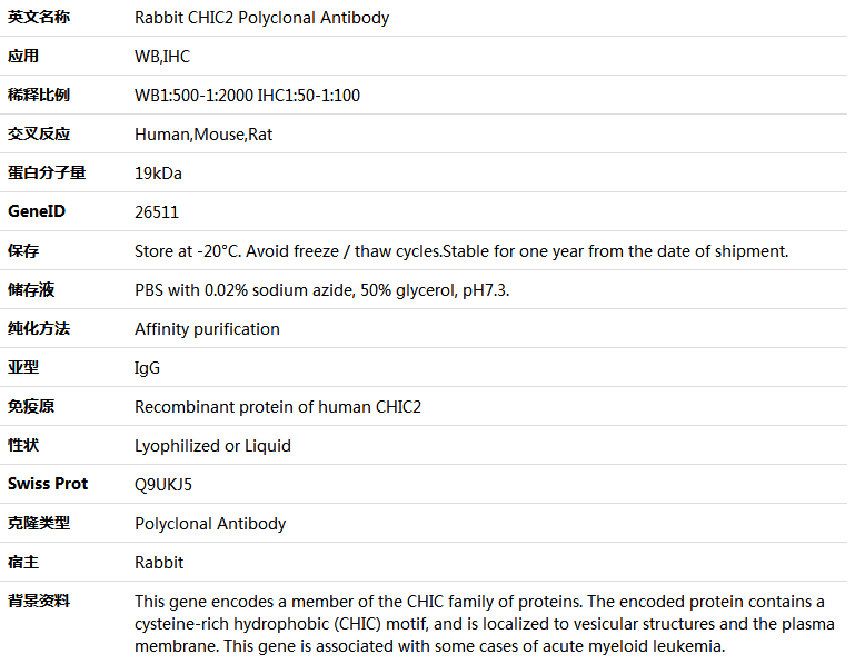 CHIC2 Antibody,索莱宝,K005592P-100ul