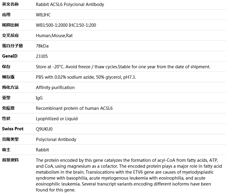 ACSL6 Antibody,索莱宝,K005588P-100ul