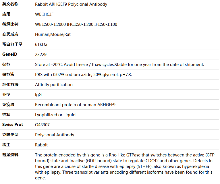 ARHGEF9 Antibody,索莱宝,K005587P-100ul