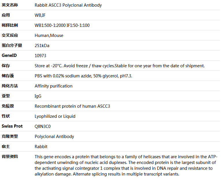 ASCC3 Antibody,索莱宝,K005585P-100ul