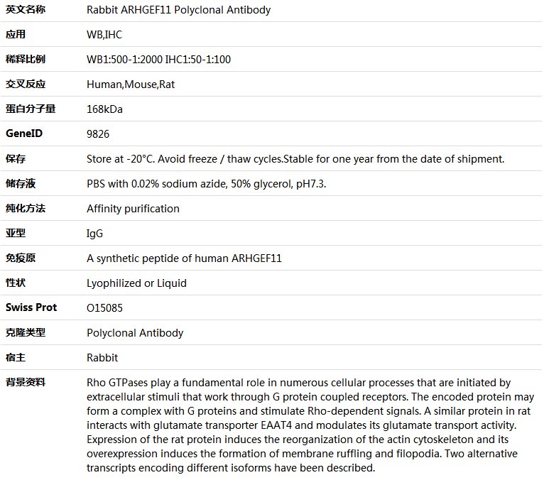 ARHGEF11 Antibody,索莱宝,K005581P-100ul