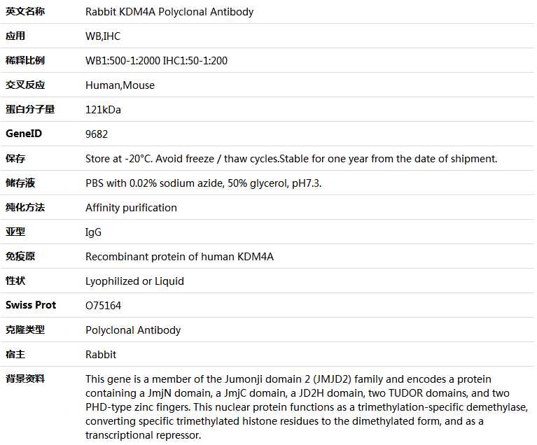 KDM4A Antibody,索莱宝,K005580P-100ul