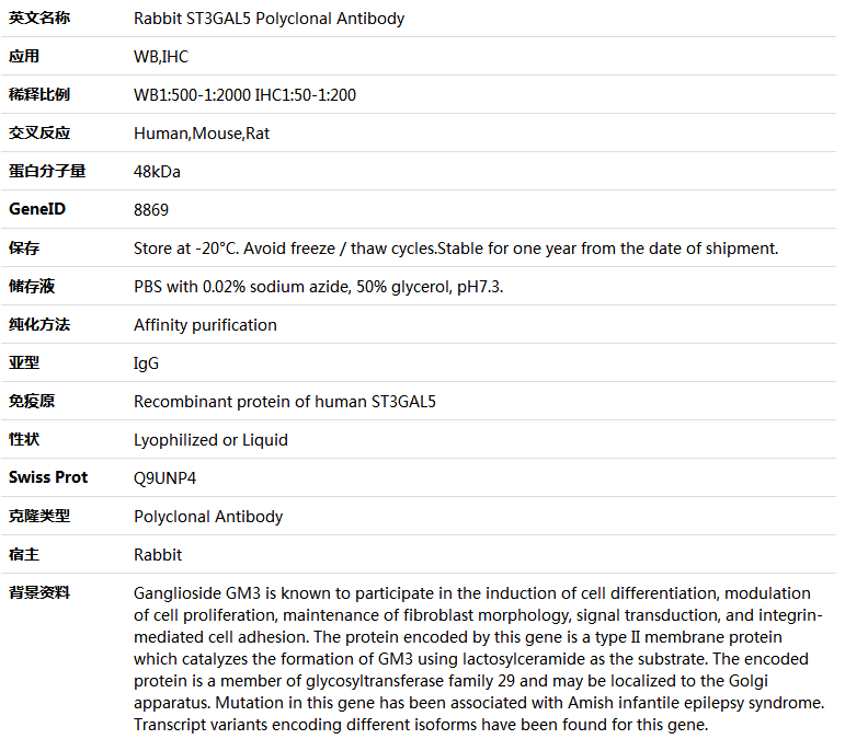 ST3GAL5 Antibody,索莱宝,K005576P-50ul