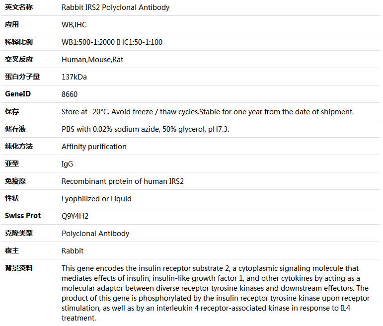 IRS2 Antibody,索莱宝,K005574P-50ul