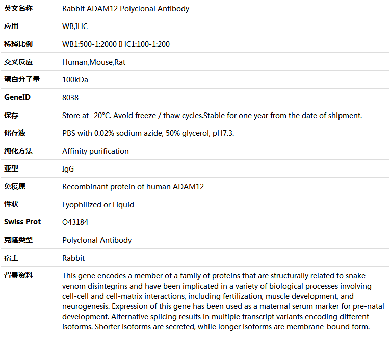 ADAM12 Antibody,索莱宝,K005569P-100ul