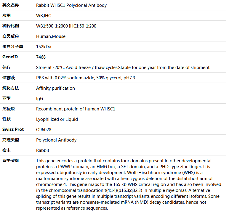 WHSC1 Antibody,索莱宝,K005567P-100ul