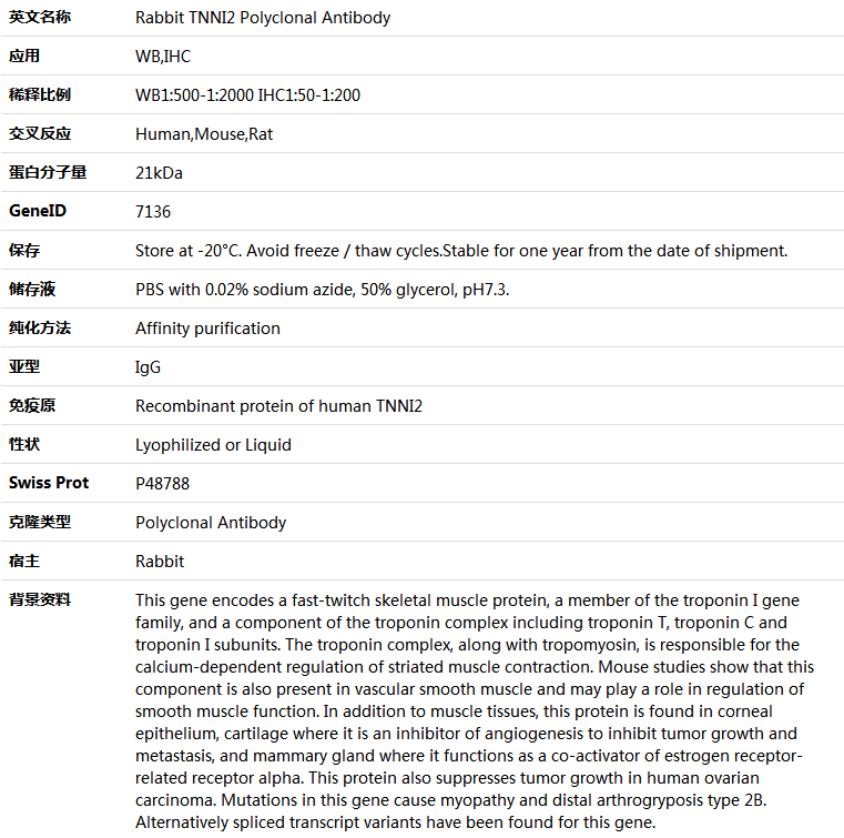 TNNI2 Antibody,索莱宝,K005566P-50ul
