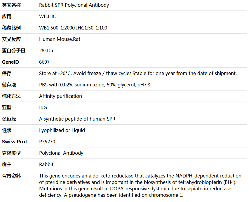 SPR Antibody,索莱宝,K005562P-100ul