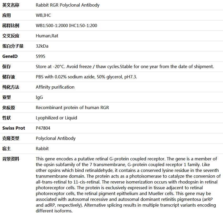 RGR Antibody,索莱宝,K005559P-100ul