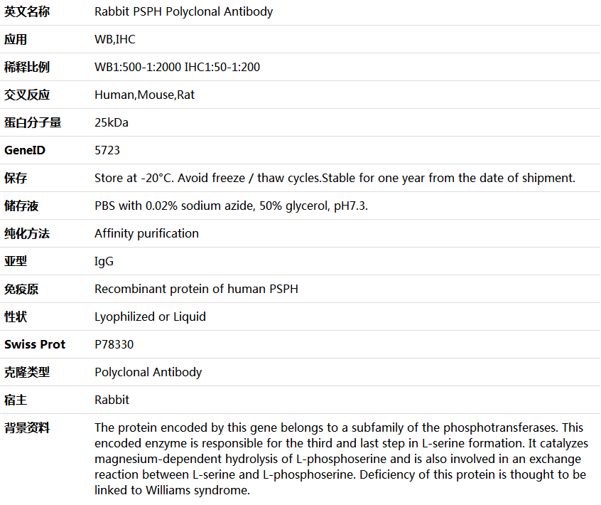 PSPH Antibody,索莱宝,K005558P-100ul