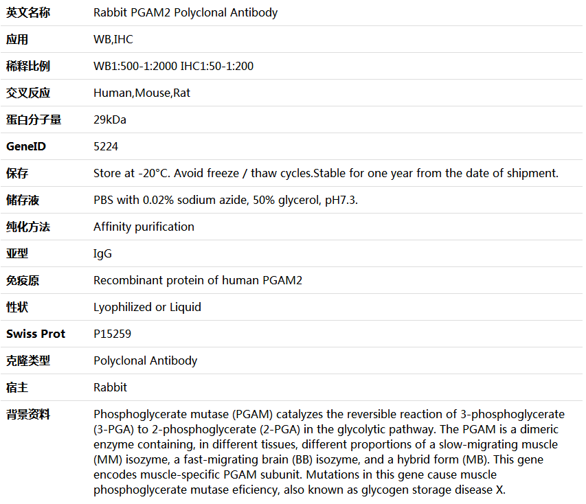 PGAM2 Antibody,索莱宝,K005552P-100ul