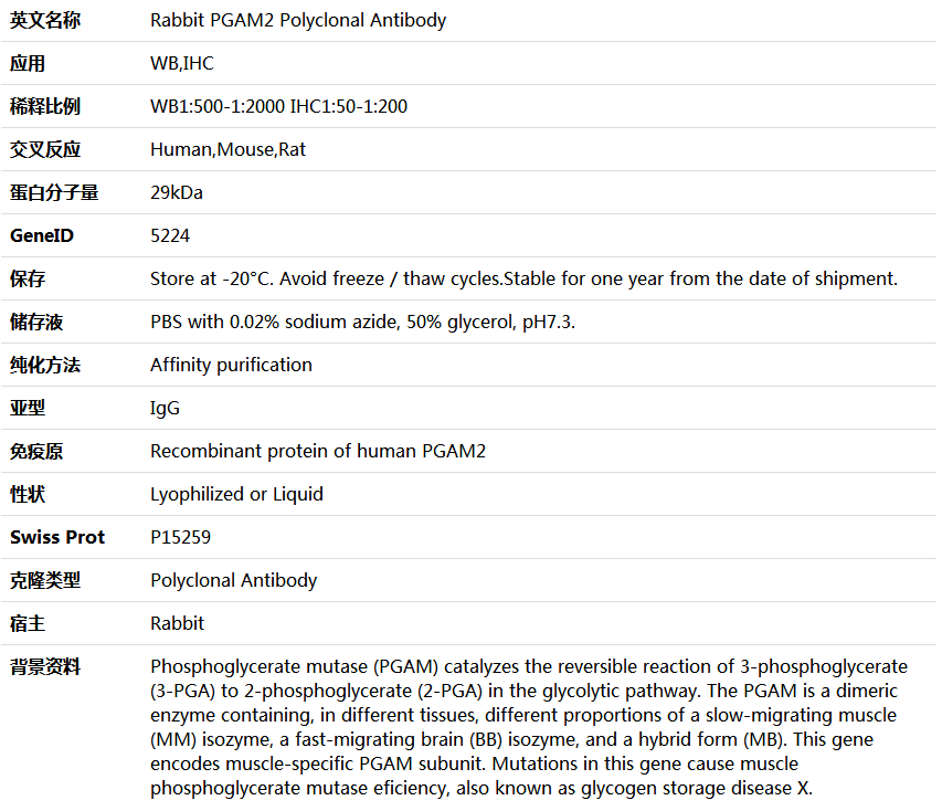 PGAM2 Antibody,索莱宝,K005552P-50ul