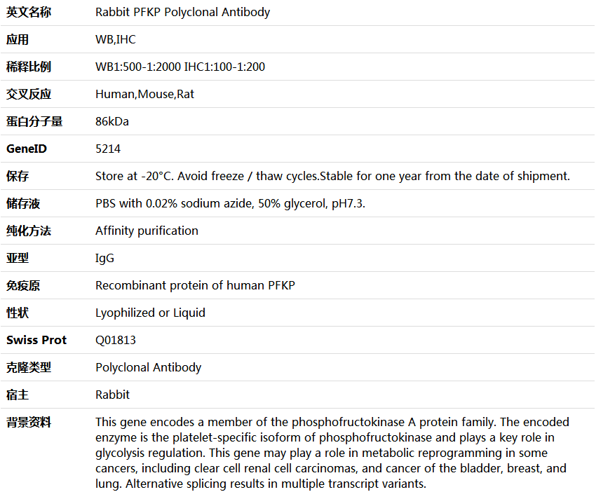 PFKP Antibody,索莱宝,K005551P-50ul