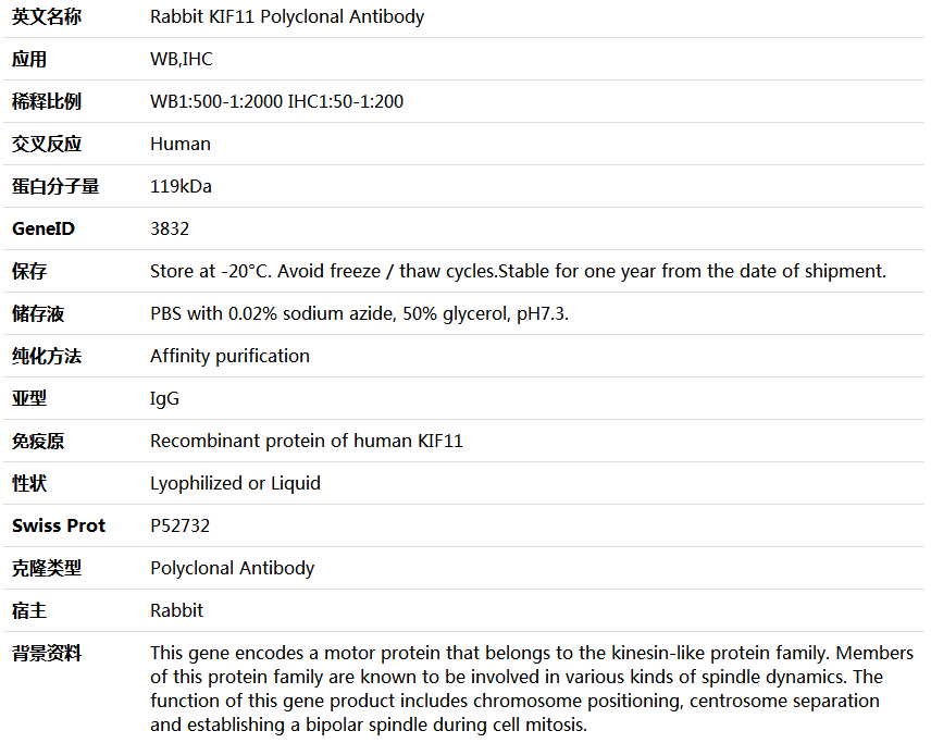 KIF11 Antibody,索莱宝,K005545P-50ul