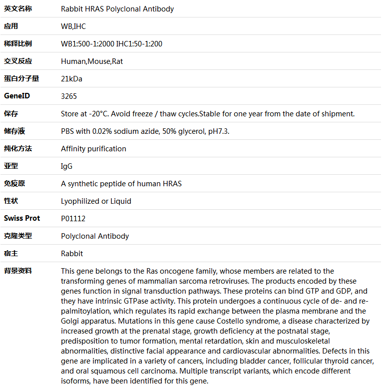 HRAS Antibody,索莱宝,K005541P-100ul