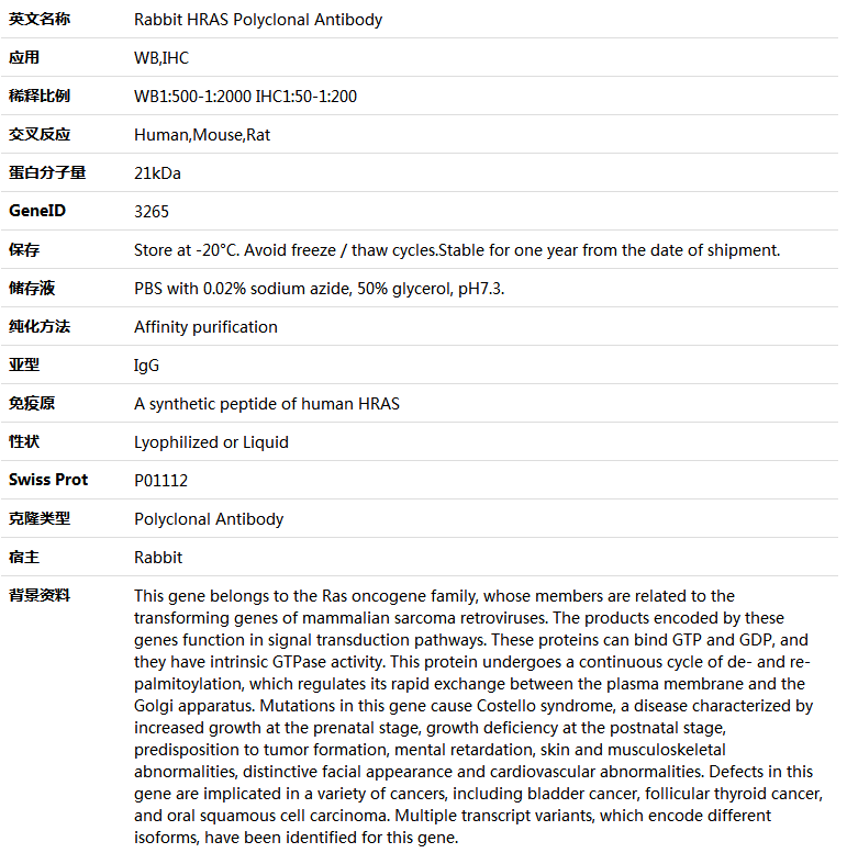 HRAS Antibody,索莱宝,K005541P-50ul