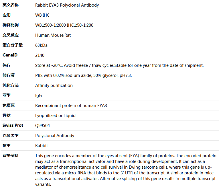 EYA3 Antibody,索莱宝,K005535P-50ul