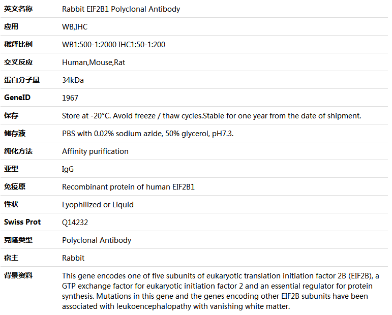 EIF2B1 Antibody,索莱宝,K005534P-100ul