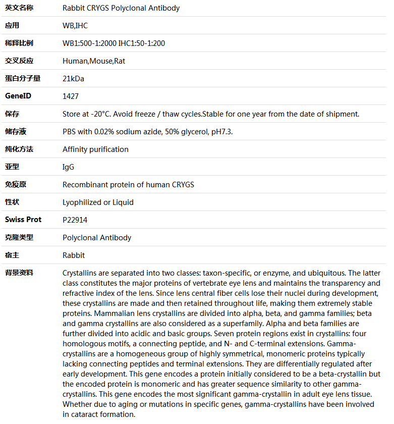 CRYGS Antibody,索莱宝,K005531P-100ul