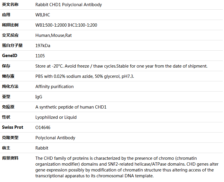 CHD1 Antibody,索莱宝,K005528P-50ul