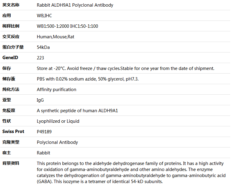 ALDH9A1 Antibody,索莱宝,K005521P-100ul