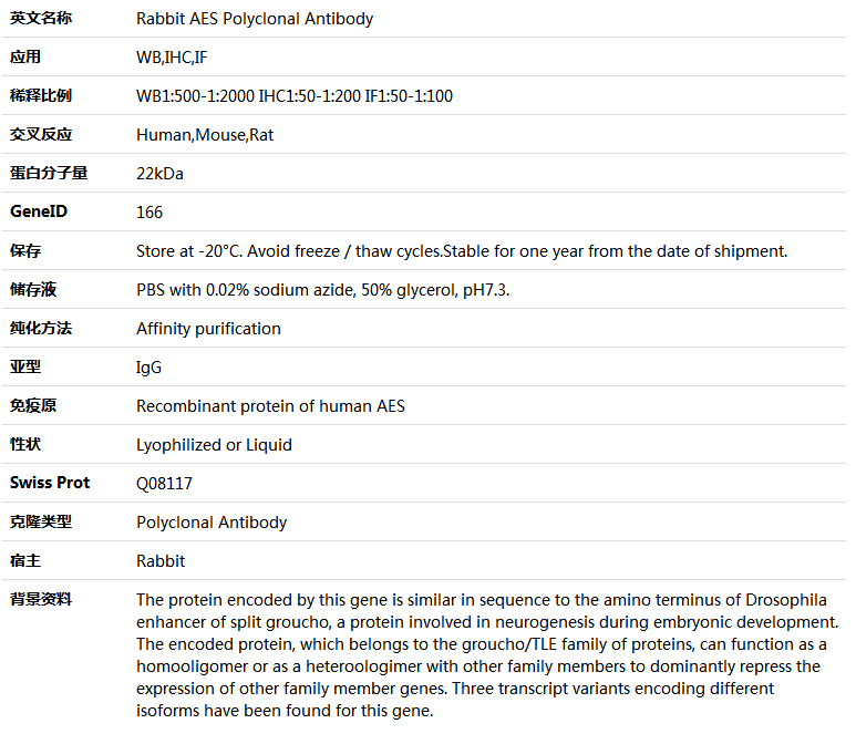 AES Antibody,索莱宝,K005520P-50ul