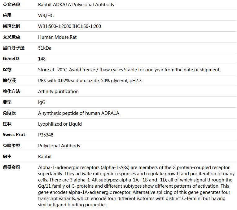 ADRA1A Antibody,索莱宝,K005519P-100ul
