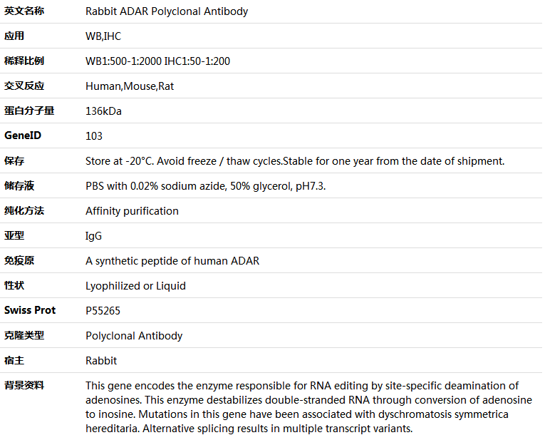 ADAR Antibody,索莱宝,K005516P-50ul