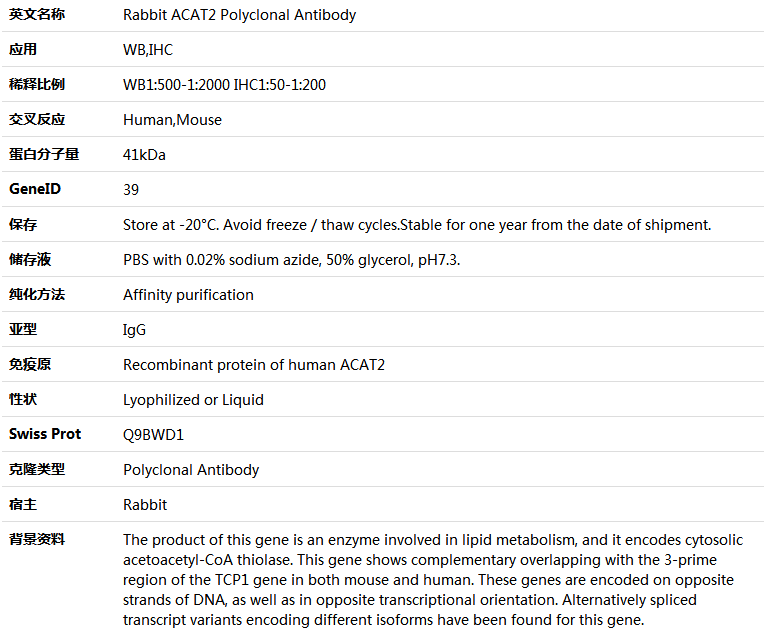 ACAT2 Antibody,索莱宝,K005515P-50ul
