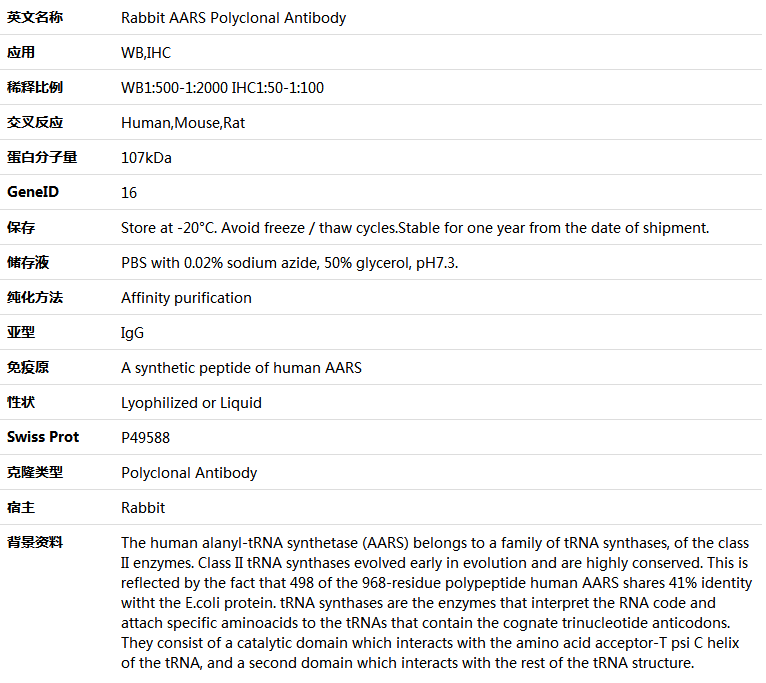 AARS Antibody,索莱宝,K005513P-100ul