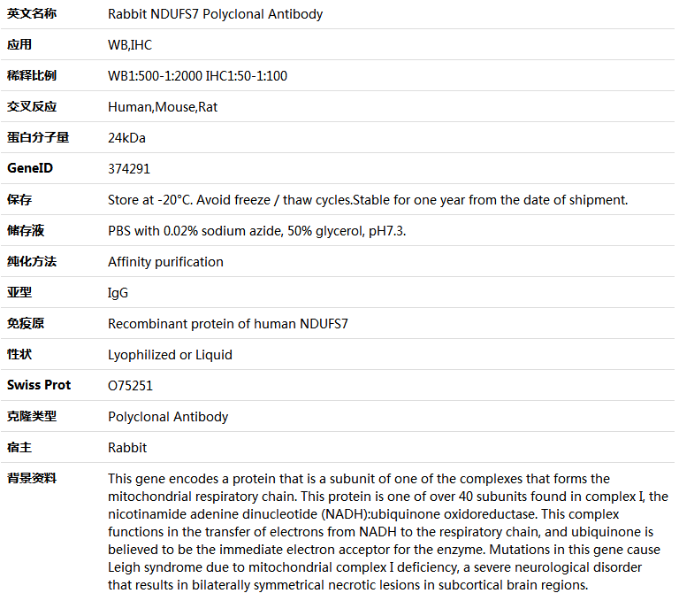 NDUFS7 Antibody,索莱宝,K005512P-50ul