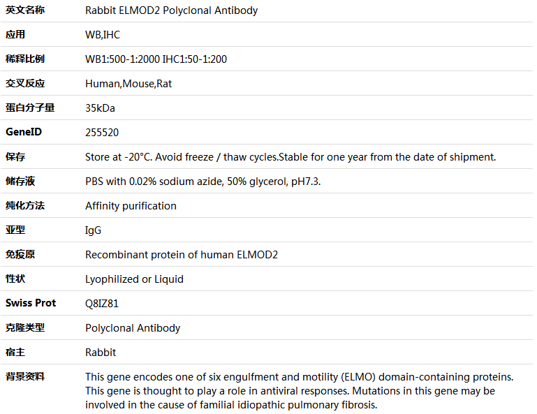 ELMOD2 Antibody,索莱宝,K005509P-50ul