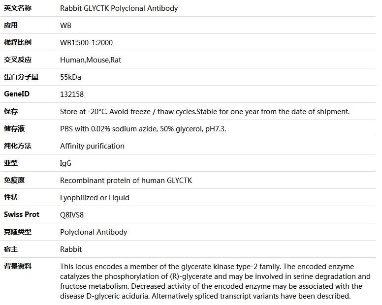 GLYCTK Antibody,索莱宝,K005504P-50ul