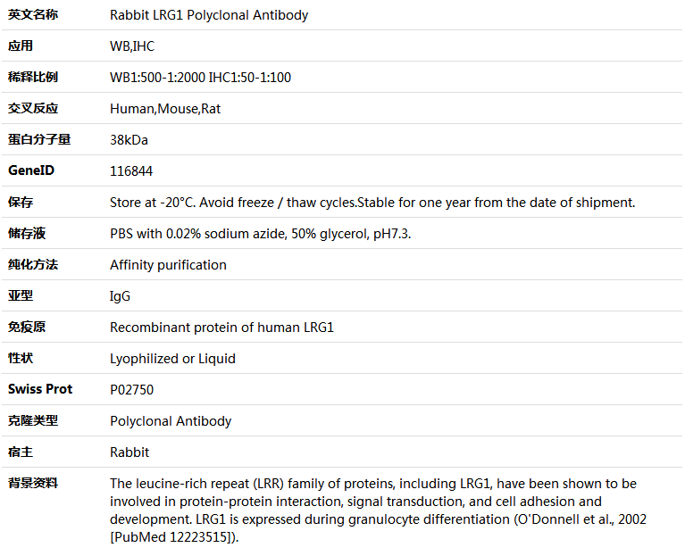 LRG1 Antibody,索莱宝,K005503P-50ul